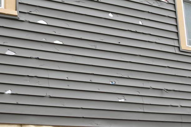 Best Siding for New Construction  in Danville, AR